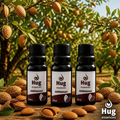 Kit Umidificador Aromatizador Ultrassônico USB 220ml Difusor de Aromas com 3 Essências Hidrossolúveis